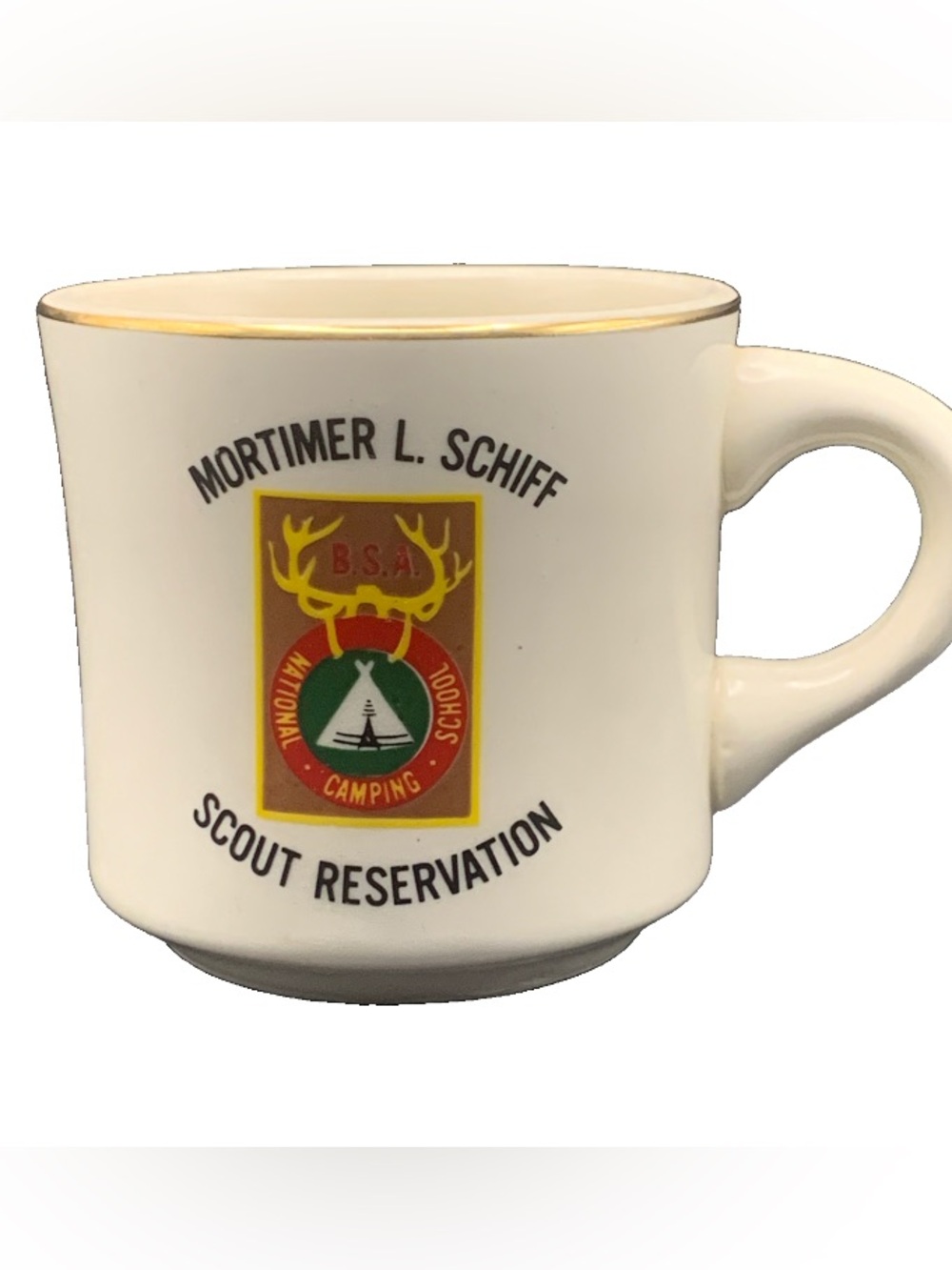 Vintage Boy Scouts Scout Mortimer L Schiff Scout Reservation Mug